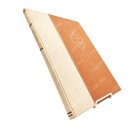 Лермонтов, М.Ю. Демон: Восточная повесть / ил. худ. Конст. Вас. Изенберг. 1897