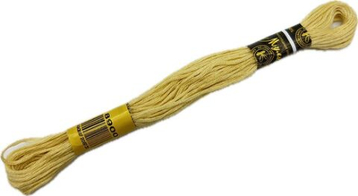 Нитки вышивальные Мулине 10м (8900)