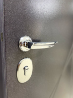 Дверь входная Честер