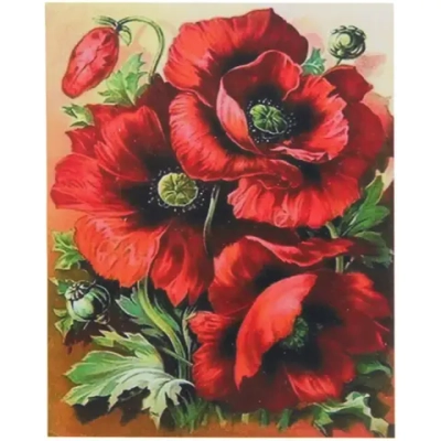 Алмазная мозаика на подрамнике с полным заполнением «МИР ЯРКИХ КРАСОК», маки, 30*40см