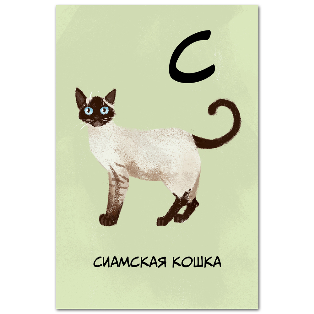 Сиамская кошка