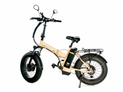 Электрофэтбайк E-motions Fat 20 Double 2 V2 (Полный привод)