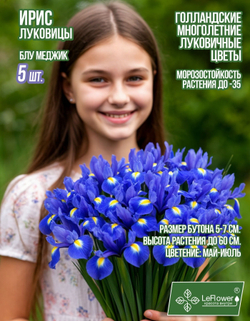 Ирис луковицы 5шт., Блю Меджик, для посадки в грунт. Голландия, Нидерланды