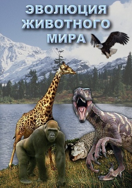 Эволюция животного мира