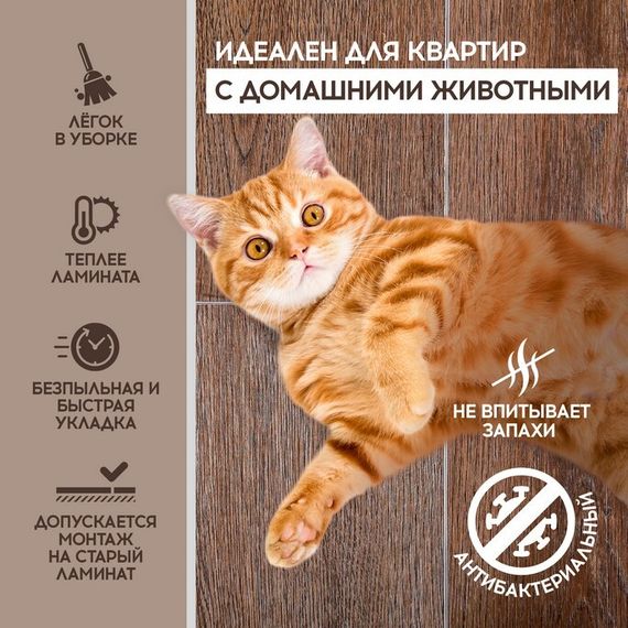 SPC ламинат I-Floors Chamfer 4v - Дуб Тахо