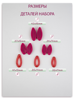 Листья душистого горошка