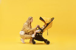 Детская прогулочная коляска Anex AIR-X Ax-04/L yellow