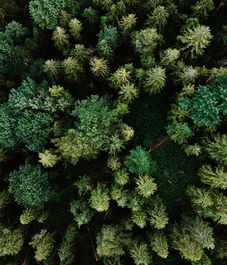 Boisee Mousse, сменные блоки авто диффузора, Ladenac Milano