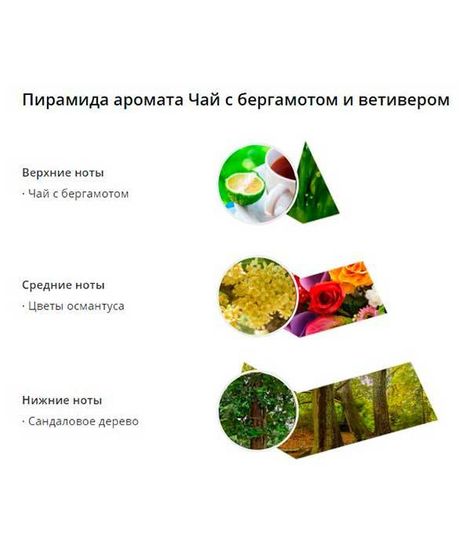 Ароматическая карточка Чай с бергамотом и ветивером, Wax Lyrical