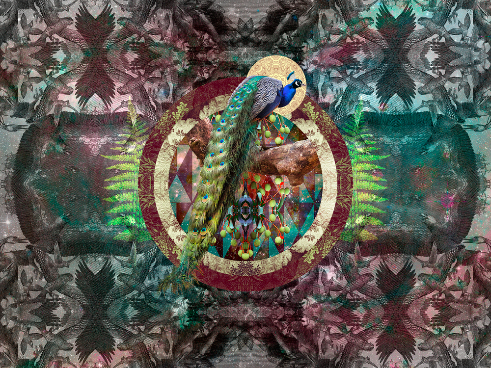 Коллекция GEOTROPICK