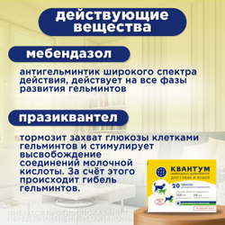 Таблетки от гельминтов для собак и кошек со вкусом мяса Квантум (VIC), 20 таб. Мебендазол/Празиквантел