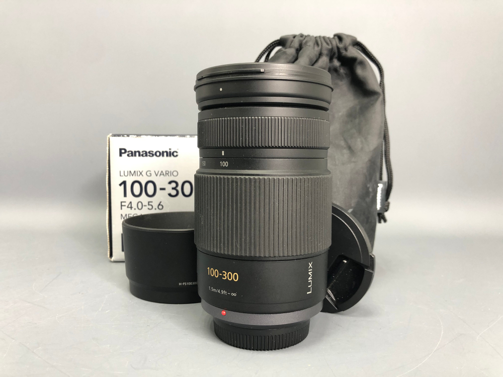 Panasonic Lumix G Vario 100-300 4.0-5.6 Mega O.I.S