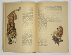 Волков А. Волшебник Изумрудного города. Худ. Владимирский Л. М. Советская Россия 1978г.