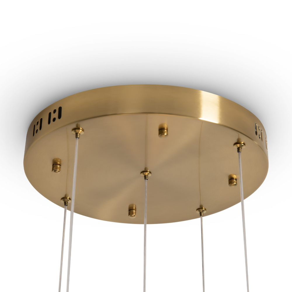 Подвесной светодиодный светильник Freya Flower FR5579PL-L40BS