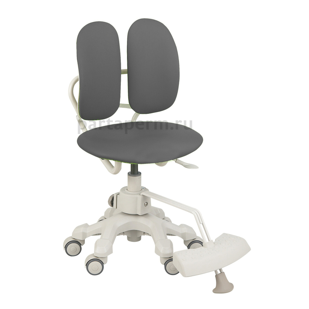 Ортопедическое кресло Duorest OPTIMA DR-289SG(А)