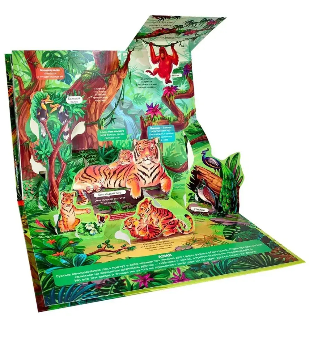 POP UP энциклопедия