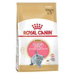 Royal Canin Kitten Британская короткошерстная