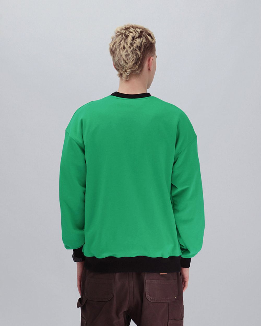 Толстовка Anteater Crewneck Biglogo Green