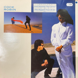 Виниловая пластинка Cock Robin - After Here Through Midland LP