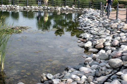 Водоем из камня в применении Булыжник речной Серый