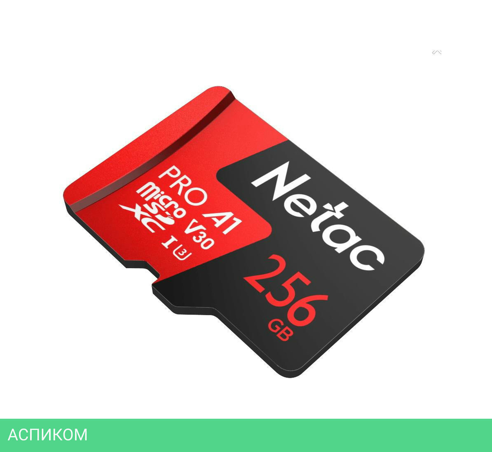 Карта памяти Netac NT02P500PRO-256G-S