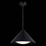 SL6501.413.01 Светильник подвесной ST-Luce Черный/Черный LED 1*12W 3000K