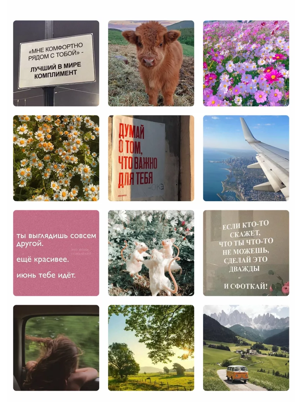 3д стикеры на телефон чехол ноутбук летний набор