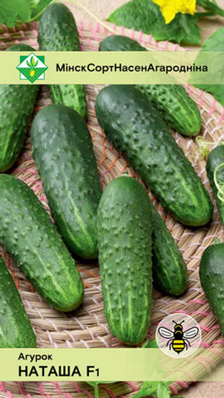 Огурец "Наташа F1" 10шт, Нидерланды.