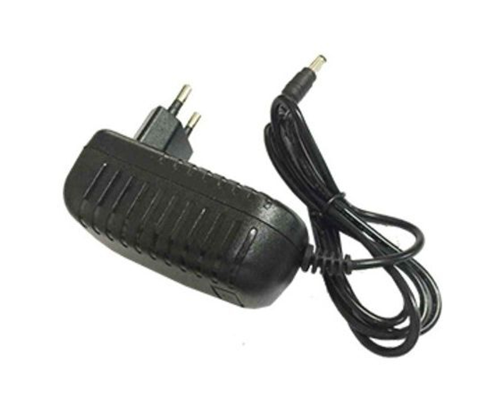 Ecola Адаптер для светодиодных лент 24V 24W (на вилке) D0L024ESB