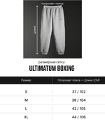 Спортивные штаны ULTIMATUM BOXING серые PT38MIX-03