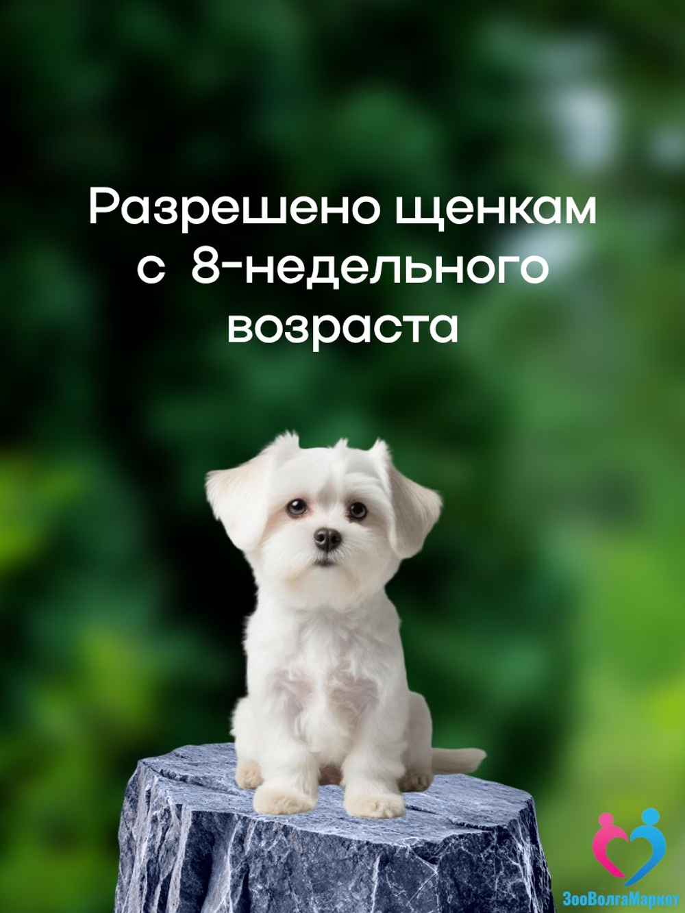 Рабектра 500 мг жевательная таблетка против блох и клещей для собак весом 10-20 кг, 1 таблетка