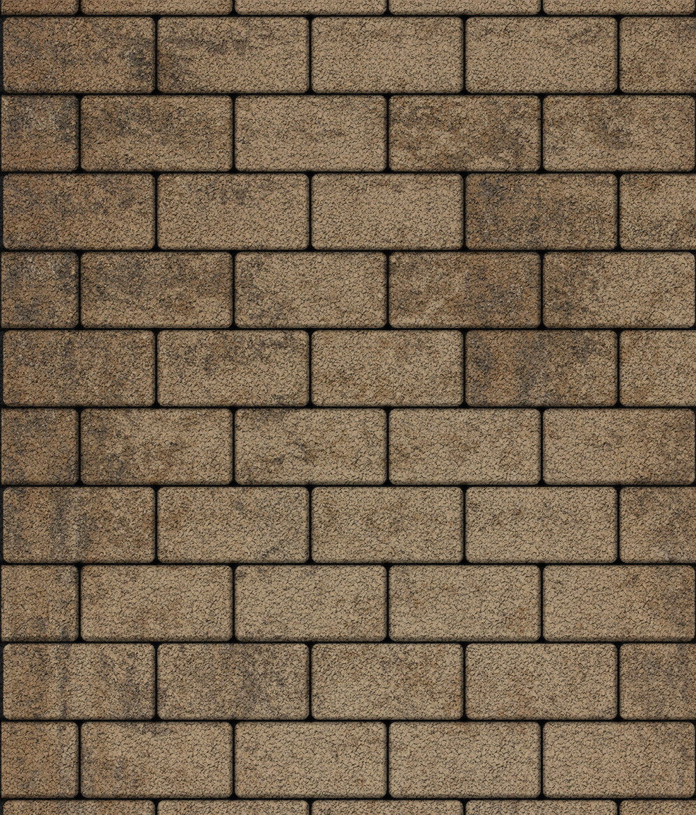 Тротуарная плитка ВЫБОР, форма Прямоугольник 100*200, h=60мм