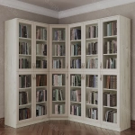 Книжный угловой №9 (мадес)