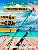 Удочка телеск ассорти 4м