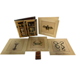 Fantomas / Wunderkammer (5LP+MC)