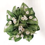 Ландыши в кашпо