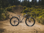 Горный велосипед Giant STP 26 (2022)