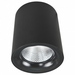 Накладной светильник Arte Lamp A5130PL-1BK