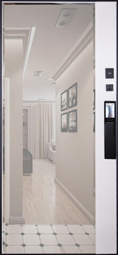 Стальная дверь "Сапсан" с зеркалом (биометрический замок Y12)