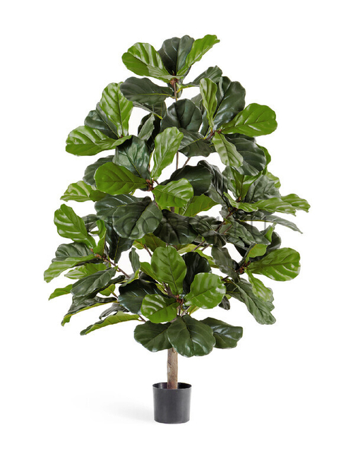 Фикус Лирата 130 см 2/2 10.33704N