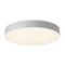 Светильник потолочный Citilux BART CL755490