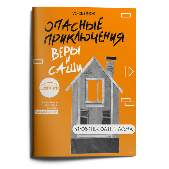 Уровень «Одни дома» книга в мягкой обложке. Опасные приключения Веры и Саши