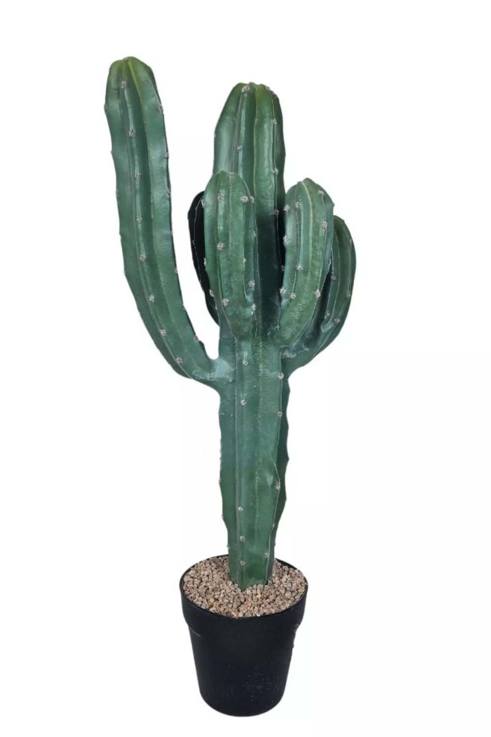Кактус Цереус Мексиканский 64см (вид 2)