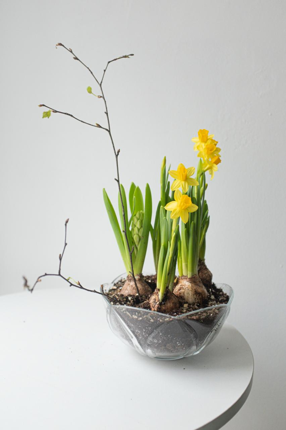 Композиция с первоцветами в вазе размер M