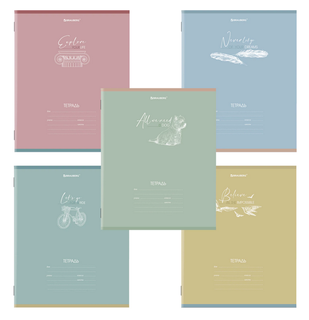 Тетрадь А5 24л. клетка "Pastel" обложка картон, 5 видов (BRAUBERG)