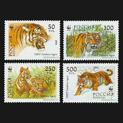 Россия 1993 г № 124-127 Серия Уссурийский тигр Чистая MNH **