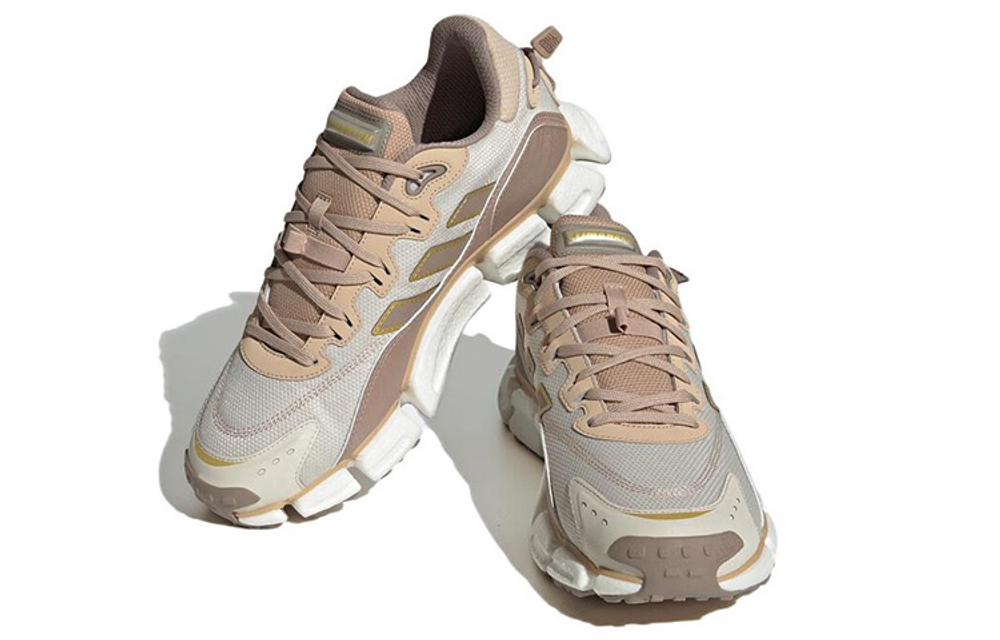 Кроссовки Adidas Climawarm Boost