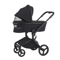 Anex Детская коляска Flo 2 в 1 Lungo