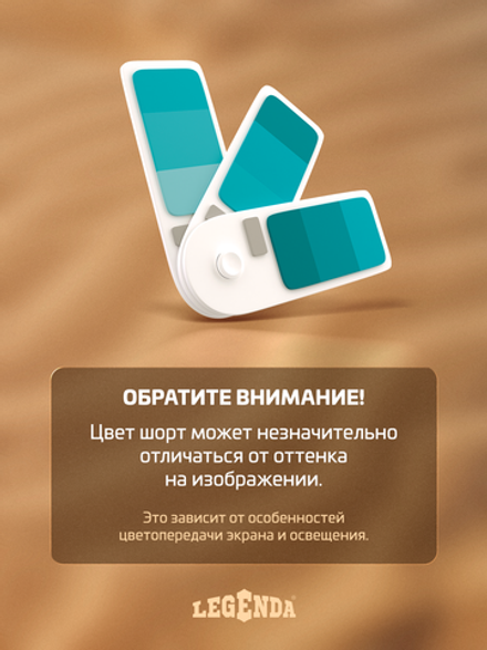 Шорты плавки Gradient LEGENDA укороченные синий