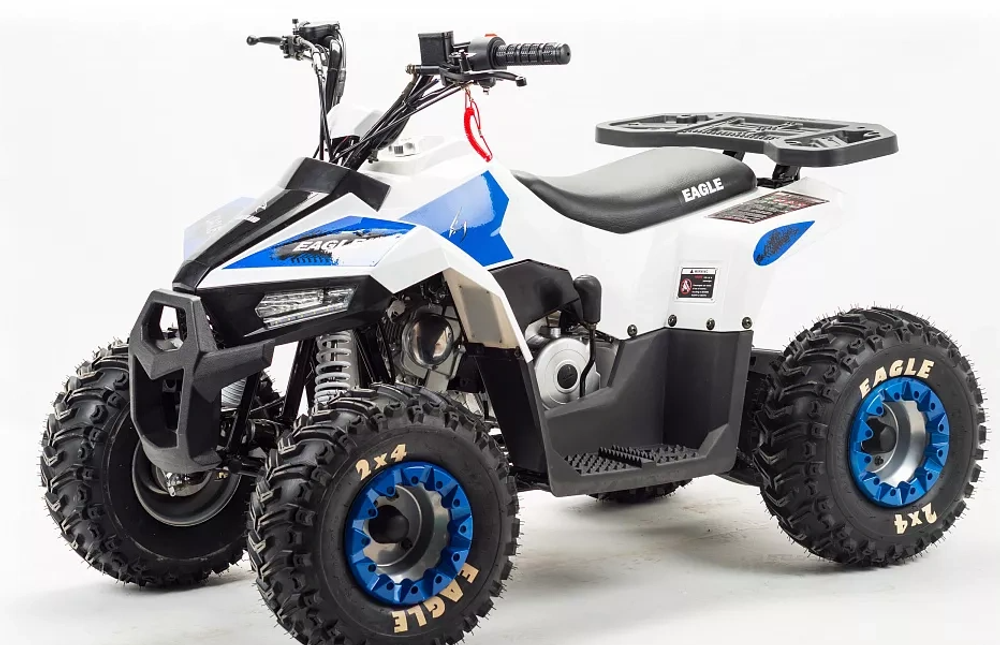 Квадроцикл MOTOLAND (МОТОЛЕНД) 110 EAGLE